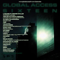the cover of global access sixteen